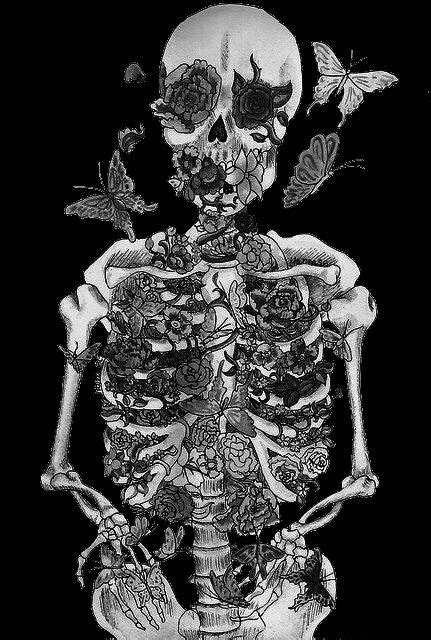 Pin By Churro On Midnight Skeleton Illustration Skeleton Art