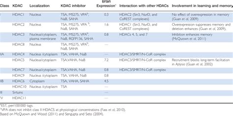 Summary of KDAC Involvement in Long-Term Memory Formation | Download Table