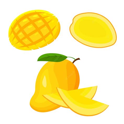 Premium Vector Set Of Fresh Whole Half Cut Slice And Piece Of Mango