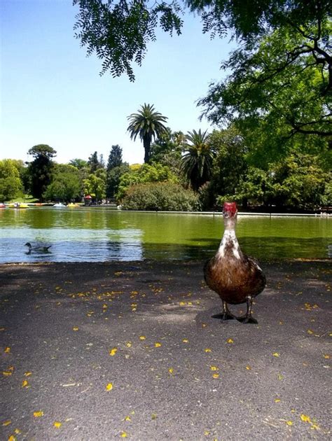 Parque De La Independencia Rosario Parques Rosarios Argentina