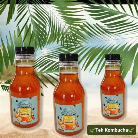 Jual Kombucha Tea Teh Fermentasi Sehat Herbal 250 Ml Shopee Indonesia