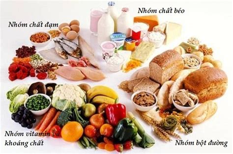 Bữa ăn hợp lý đủ dinh dưỡng tại gia đình Chuyên Trang Chia Sẻ Kiến