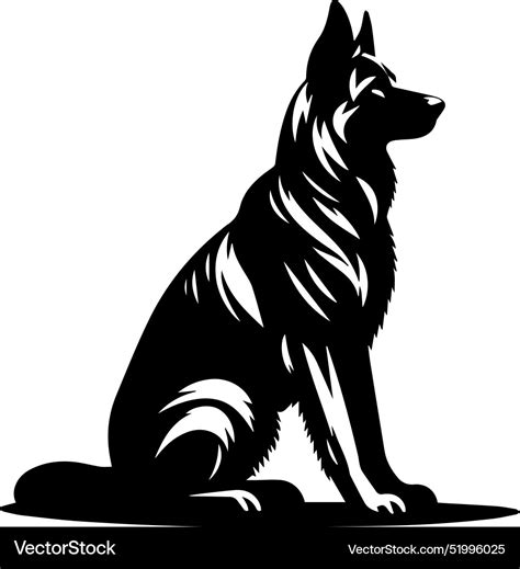 Portrait Of A German Shepherd Dog Isolated Vector Image