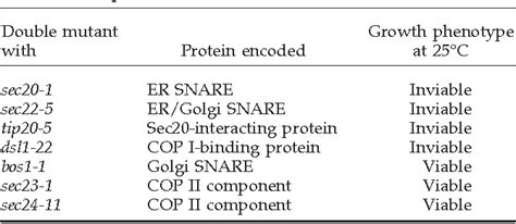 Table 1 From Structure Based Functional Analysis Reveals A Role For The