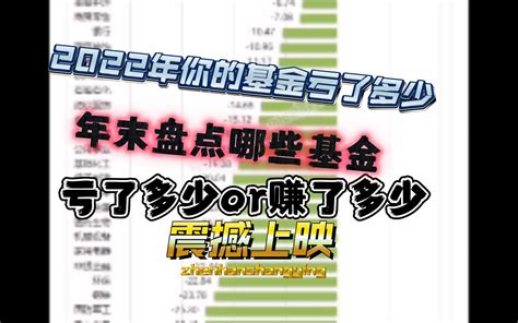 名场面之2022年末基金投资记实你的基金亏了多少钱vs别人又赚了多少？知名 哔哩哔哩