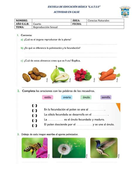 Sexual Worksheet Live Worksheets