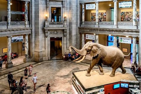 Washington Dc Private American And Natural History Museum Tour 2023