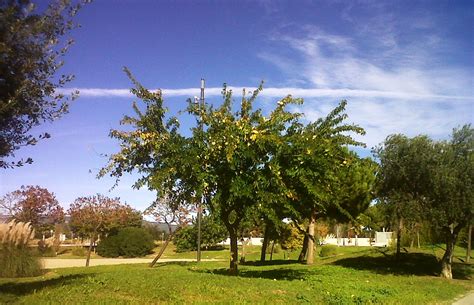 Paisatges I Jardins Landscapes And Gardens De Novembre