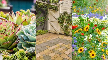 7 xeriscaping ideas landscaping pros love | Real Homes