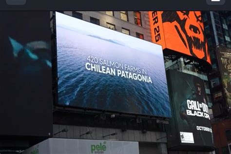 Da Os De Las Salmoneras Llegan Al Times Square Pantallas Gigantes