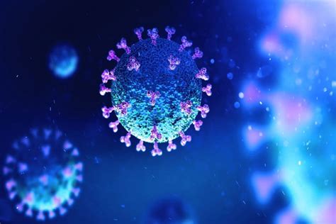 21 doenças causadas por vírus: sintomas, tratamento e prevenção - Tua Saúde