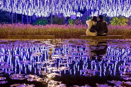 Ashikaga Flower Park Illumination 2021-2022 - Japan Web Magazine