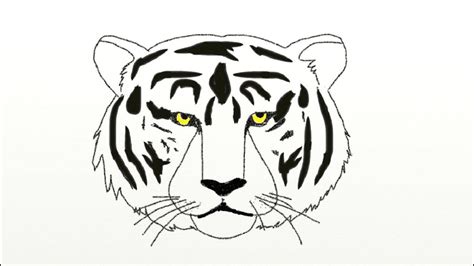 How To Draw A Tiger Head Drawing For Kids Youtube