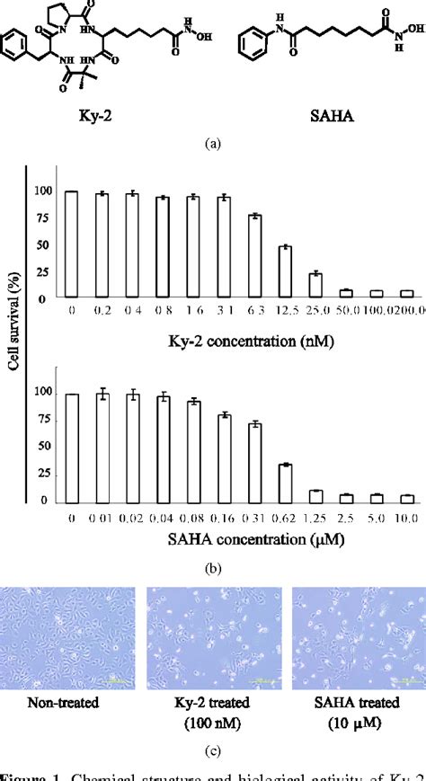 Figure From Novel Histone Deacetylase Inhibitor Exhibits Antitumor