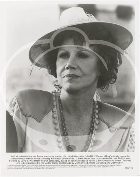 Remembering David Steinbeck: Obituary and Service Details 12