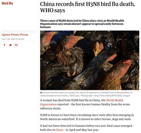 China Records First H3n8 Bird Flu Death April 11 2023 Here We Go