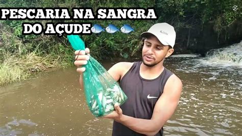 Pesca Esportiva Incr Vel Mais De Peixes Na Primeira Tarrafada Youtube