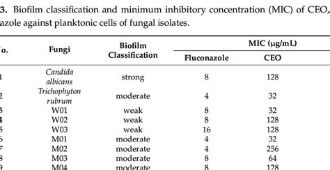 Biofilm Classification And Minimum Inhibitory Concentration MIC Of