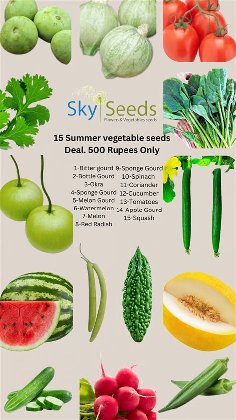 15 op Vegetable Seeds Summer Season Deal in Pakistan - SKY SEEDS 2024