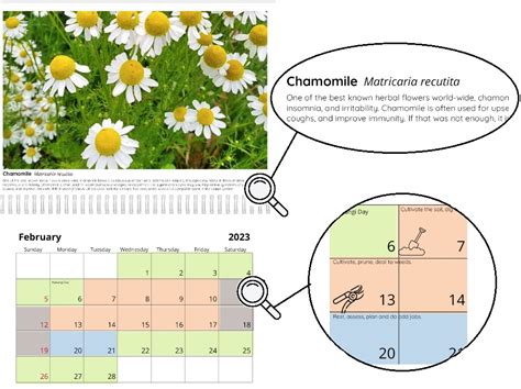 Herb Calendar With Lunar Gardening 2023 Meadowsweet Herbs And Flowers