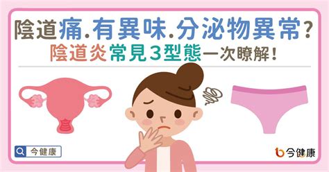 陰道痛、有異味、分泌物異常？陰道炎常見3型態一次瞭解！ 今健康