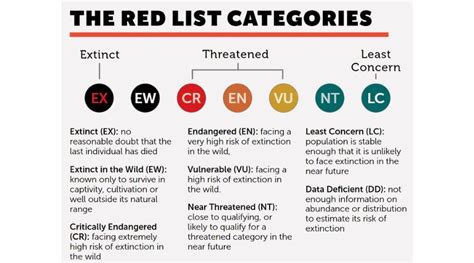 Vietnam S Red Data Book And The IUCN World Red List 2023