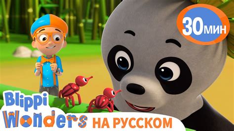 Блиппи и мультики про Животных 🐼 | Обучающие мультики для детей ...