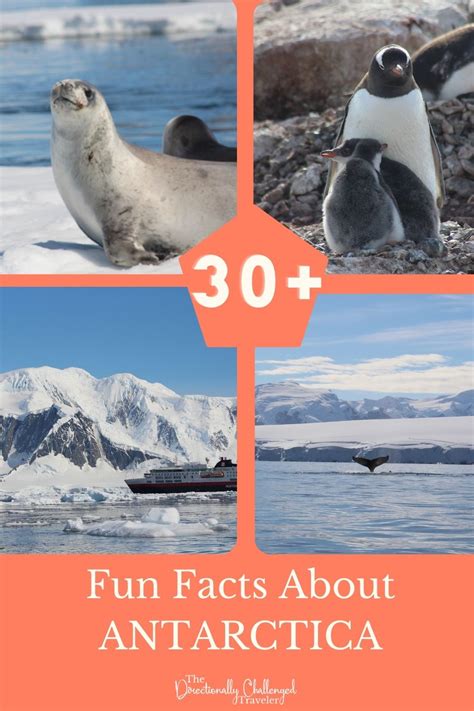 30+ Fun Facts About Antarctica