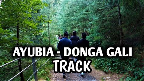 Galiyat Donga Gali Pipeline Track Ayubia Pipeline Trek Youtube