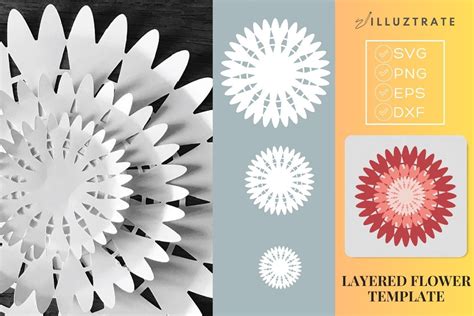 paper cutting flower template floral graphic  illuztrate creative