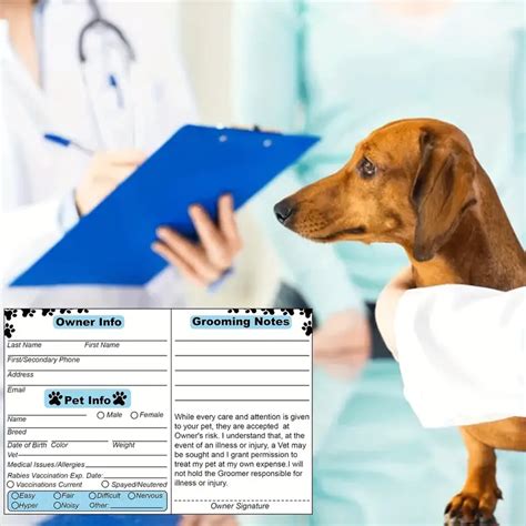 Pet Grooming Report Cards Dogs Cats Heavy Duty Cardstock Temu