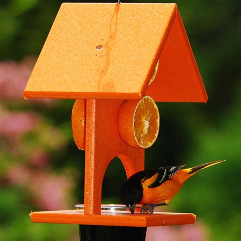 Fruit And Jelly Oriole Feeder — Birdertown