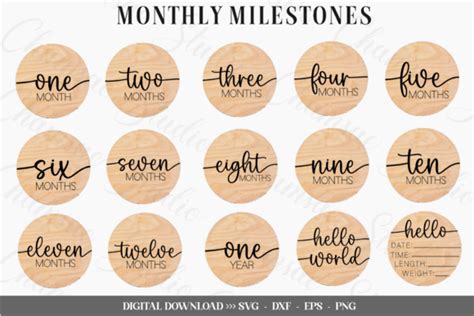 Baby Monthly Milestone Svg Bundle Graphic By Chamsae Studio