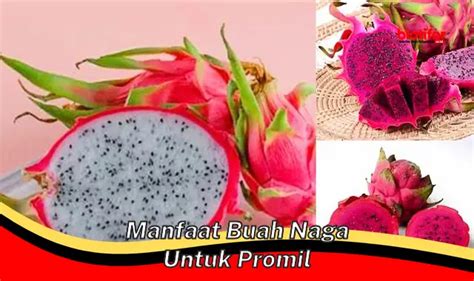 Temukan Manfaat Buah Naga Untuk Promil Yang Jarang Diketahui Biotifor