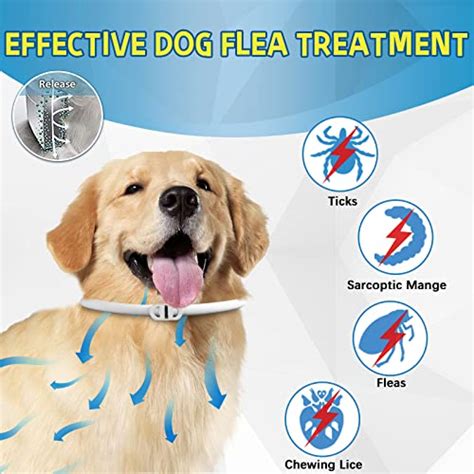 Comprar Collar Antiparasitario Para Perros Alergicos Desde 4 72