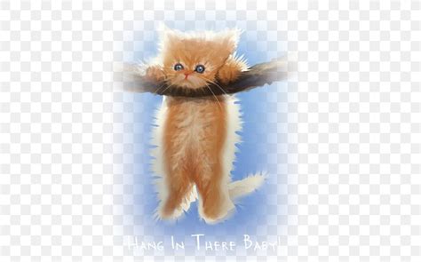 Hang In There Baby Cat Kitten Poster Png X Px Hang In There