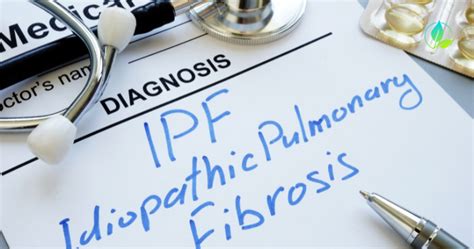 Pulmonary Fibrosis Causes, Symptoms, and Management — iMaster Health