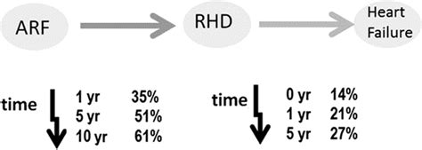 Acute Rheumatic Fever And Rheumatic Heart Disease Circulation