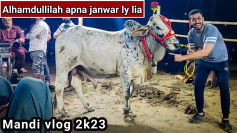 Finally Apna Qurbani Ka Janwar Ly Lia Cow Mandi Vlog 2023 Bakra Eid