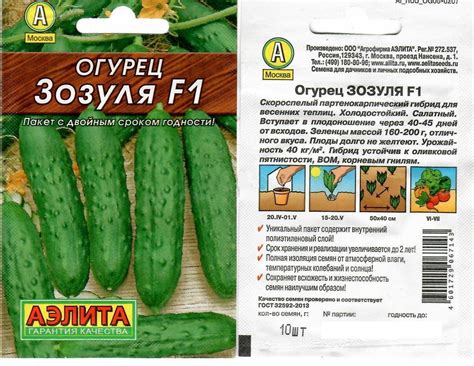 Зозуля огурцы: описание, выращивание, уход, фото