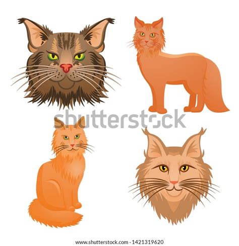 Maine Coon Icons Set Cartoon Set Vector De Stock Libre De Regal As