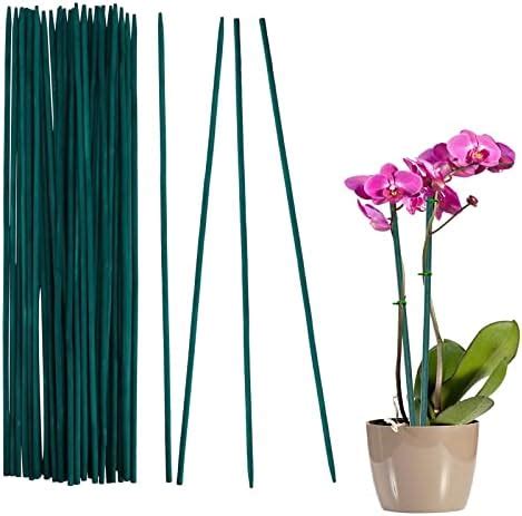 Tuteur Plante Bâtons de Support de Plantes Lot de 30 30cm Piquets de