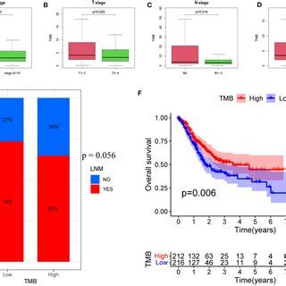 Associations Between MUC16 Mutation Status And Clinicopathological