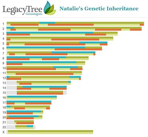 Grandparent Inheritance Chart By Legacy Tree Genealogists