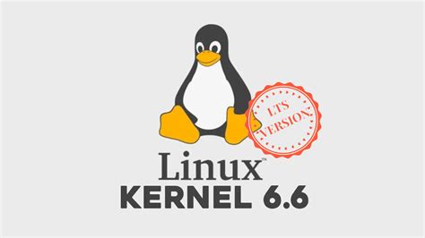 Linux Kernel 6.6 Becomes LTS with Extended 3-Year Support