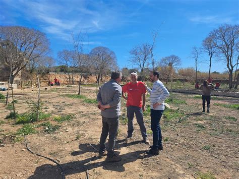 Ondara Obri L Rea Recreativa Del Mol Cov Per A Les Festes De Pasqua