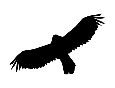 eagle flying silhouette 10463830 Vector Art at Vecteezy