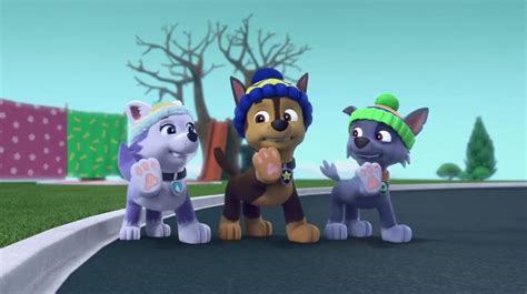 Paw Patrol S3 E22 Chase Everest Rocky By Geedirosso On Deviantart