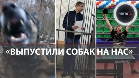 Гений парковки из Кудрово | Задержали адвоката по делу 2000 | Собачьи ...