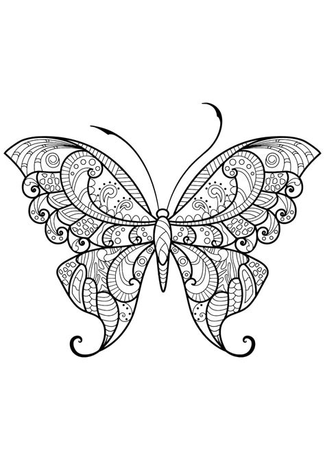 Coloriage Papillon Adulte Gratuit T L Charger Et Imprimer Gratuit Sur